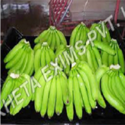 Fresh Cavendish Banana Services in Aurangabad Maharashtra India